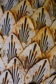 Detailed close-up of a decorative pattern by artist Heather Brown, showcasing unique handmade style.