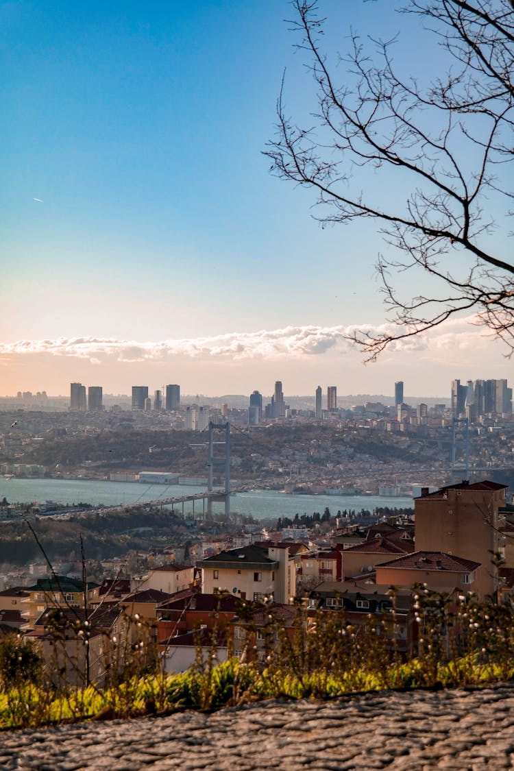 City Skyline View From The Hill