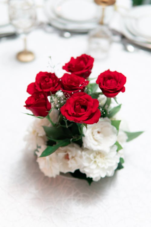 Red and White Rose Flowers in Vase on White Surface