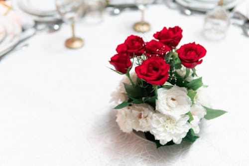 Free stock photo of flowers, red rose, red roses