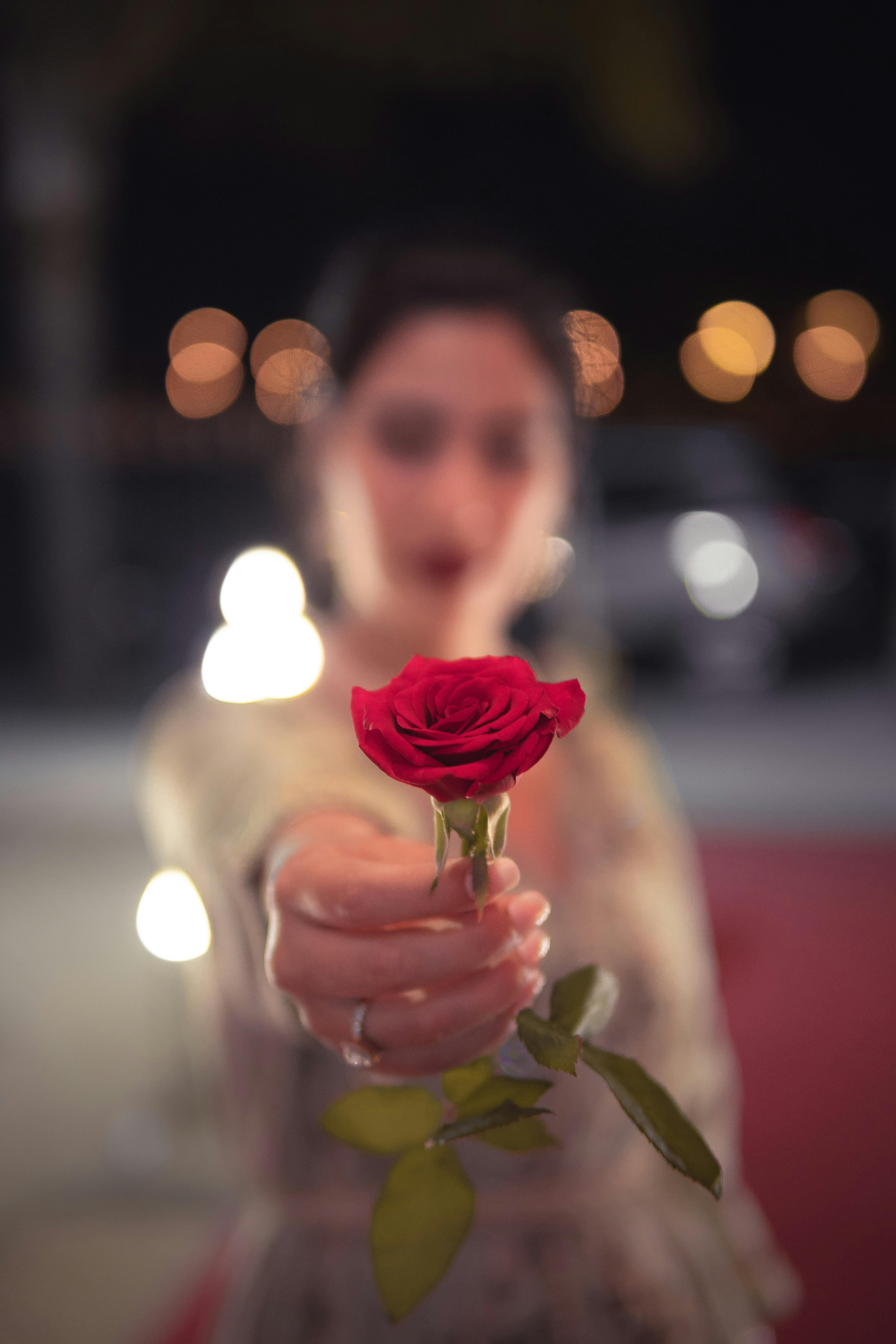 10,000+ Best Rose Photos · 100% Free Download · Pexels Stock Photos