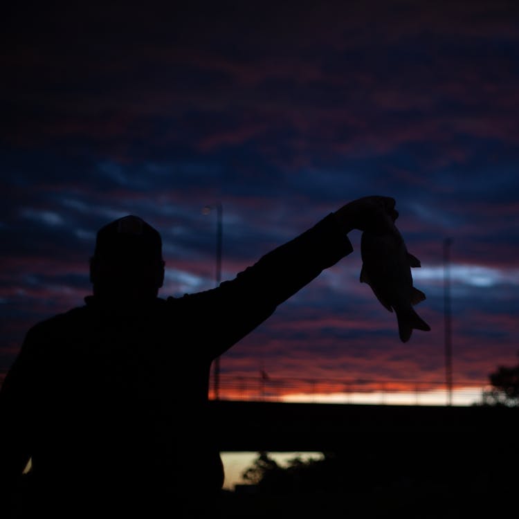 Silhouette Of A Person Holding A Fish