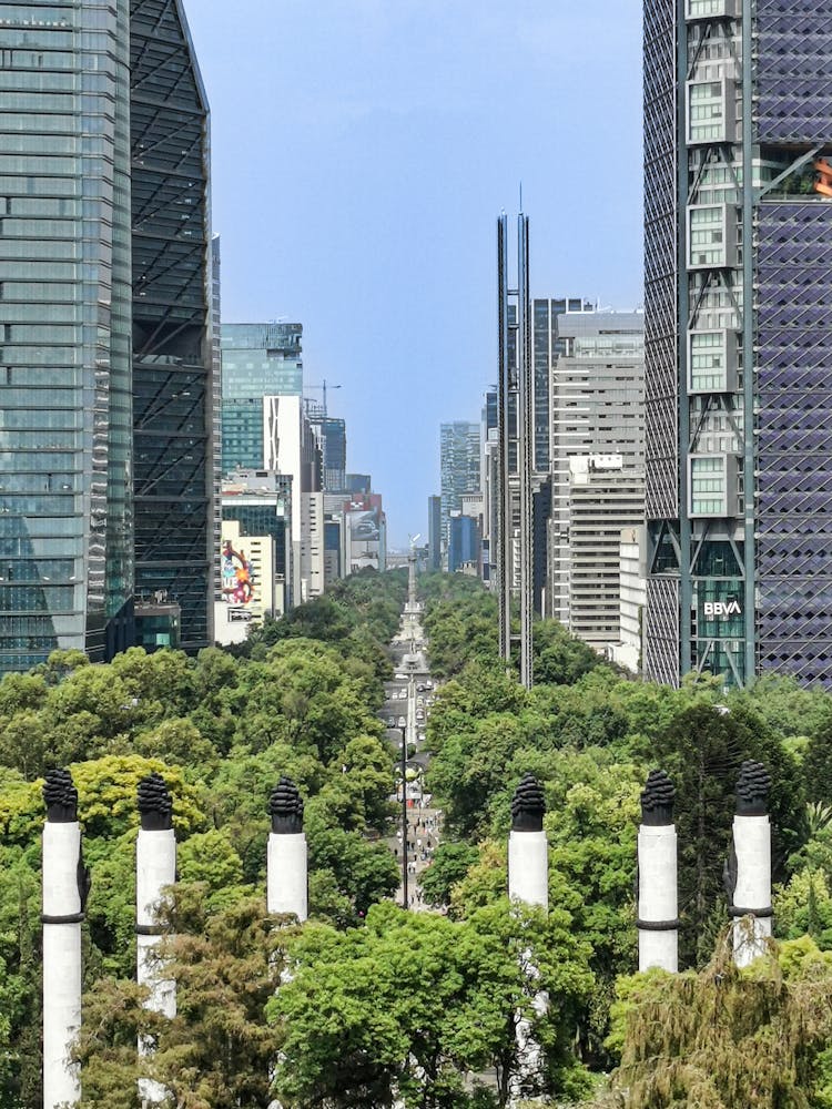 The Paseo De La Reforma Avenue In Mexico City