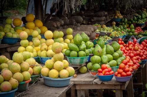 Free stock photo of africa, avocados, grapefruit