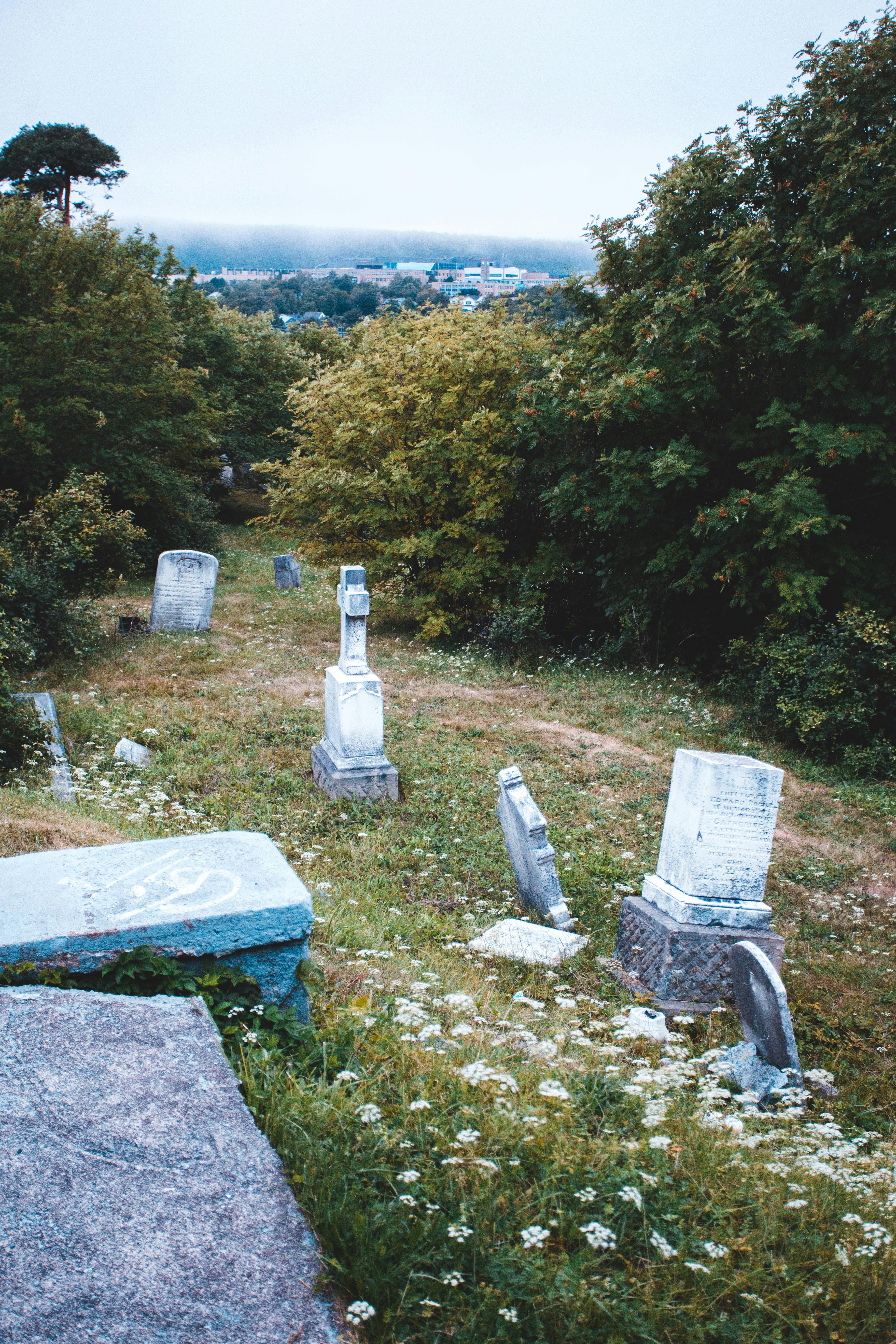 Tombstone Grave Markers in a Cemetery · Free Stock Photo