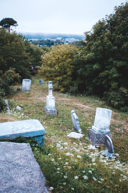 Free Tombstone Grave Markers in a Cemetery Stock Photo