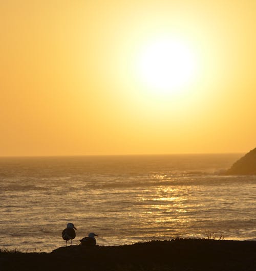 california beach, california gün batımı, dalgalar içeren Ücretsiz stok fotoğraf