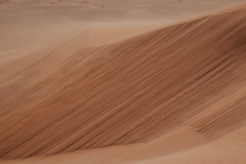 Dusty Brown Sand Dunes 