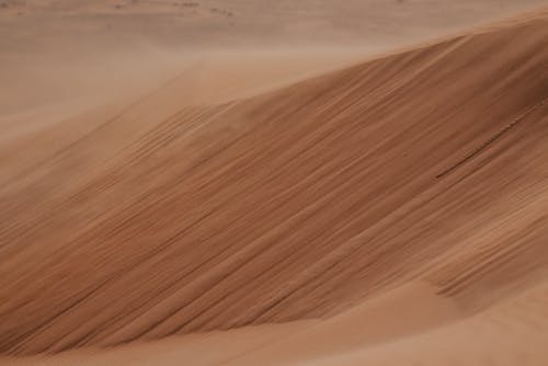 Kostenloses Stock Foto zu abhang, braunen sand, dünen