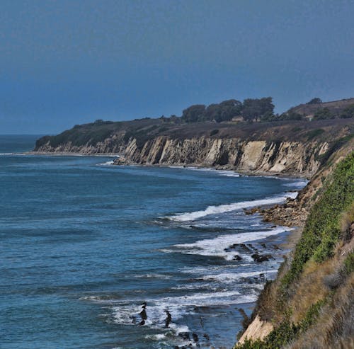 california beach, dalgalar, güney kaliforniya içeren Ücretsiz stok fotoğraf