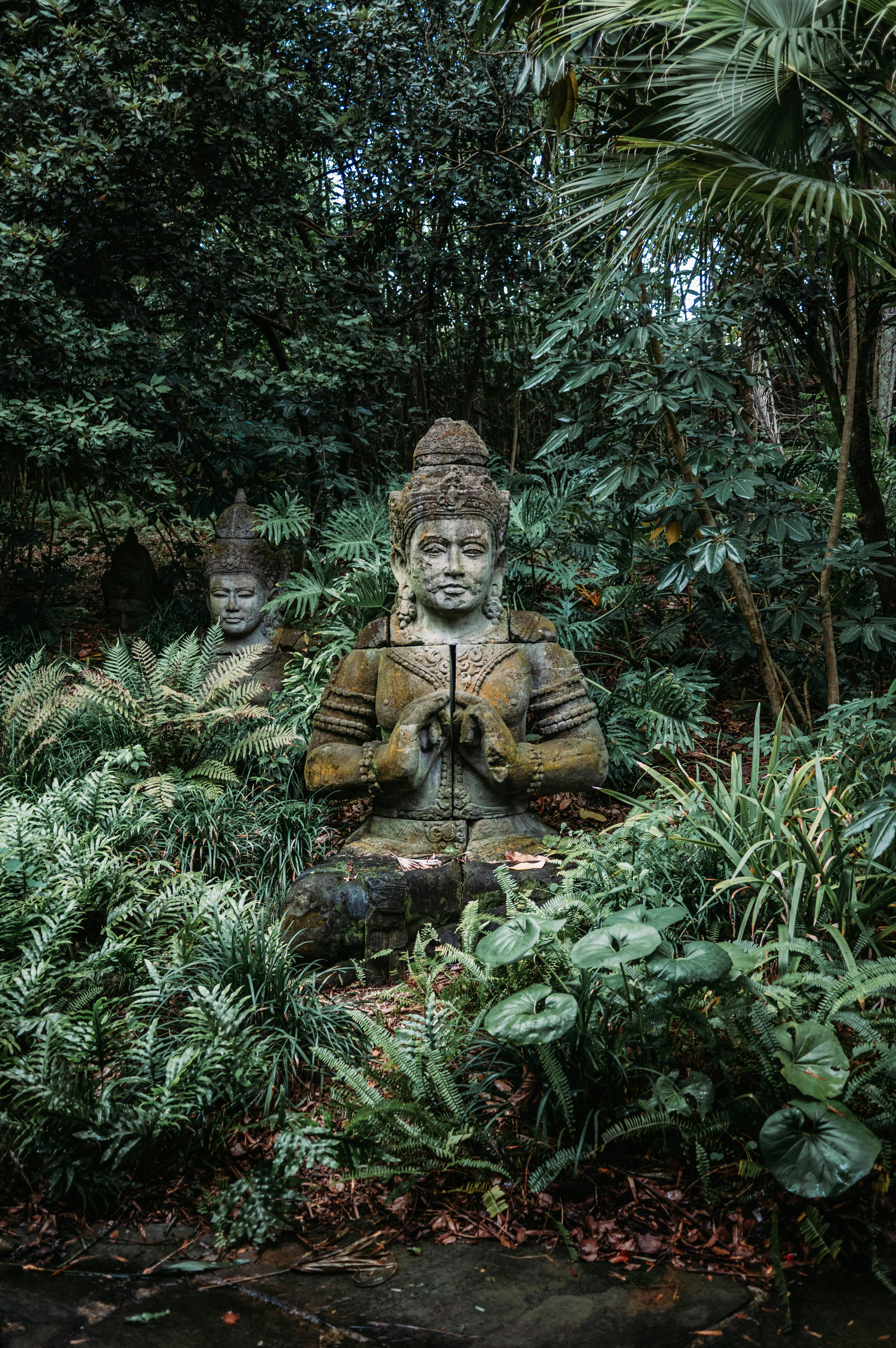 Buddha In Jungle Photos, Download The BEST Free Buddha In Jungle Stock