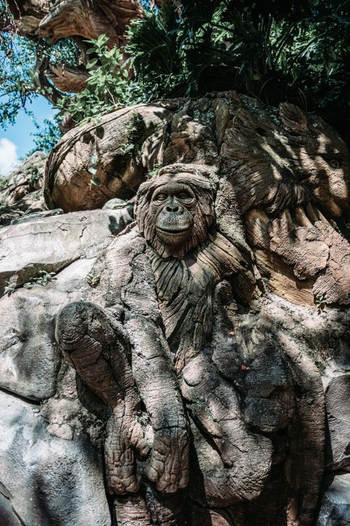 Free Detailed stone carving of a monkey in a lush nature park setting. Stock Photo