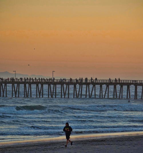 Free stock photo of beach, beach running, beach sand