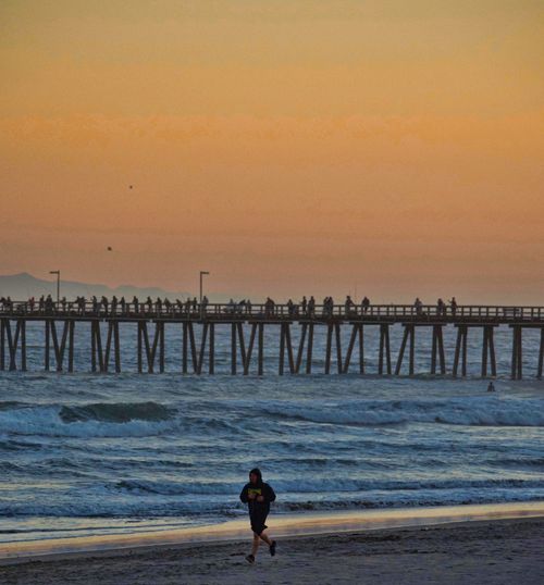 Free stock photo of beach, beach running, beach sand Stock Photo