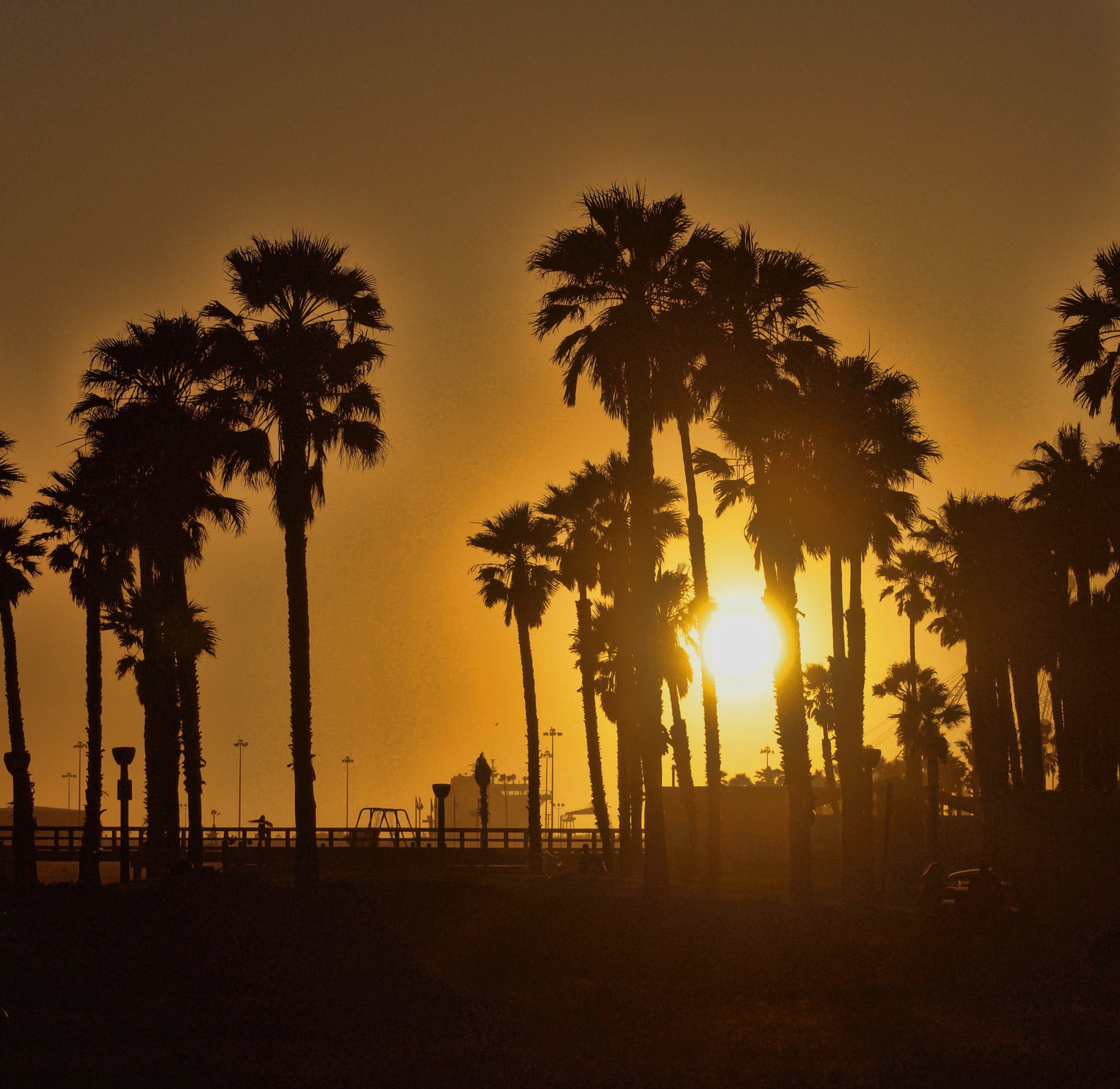 オレンジ色の夕日 カリフォルニアのビーチ カリフォルニアの夕日の無料の写真素材
