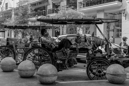 Foto profissional grátis de carro, cavalo, cidade