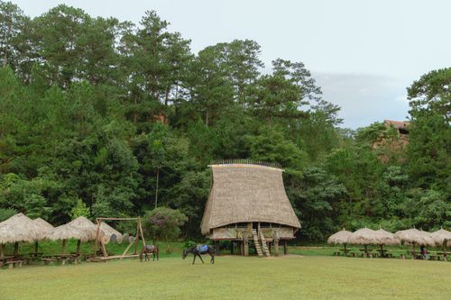 Free A scenic view of traditional nipa huts amidst lush greenery in Dalat, Vietnam. Stock Photo