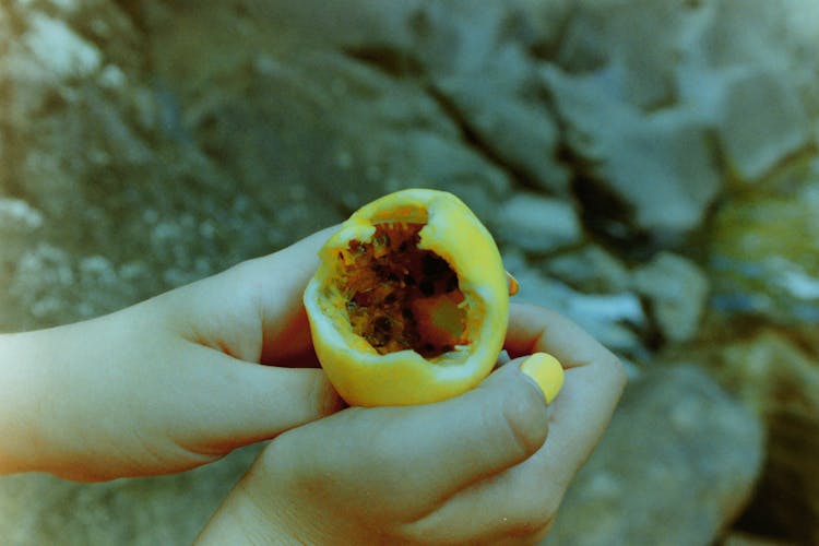 Hands Holding A Fruit 