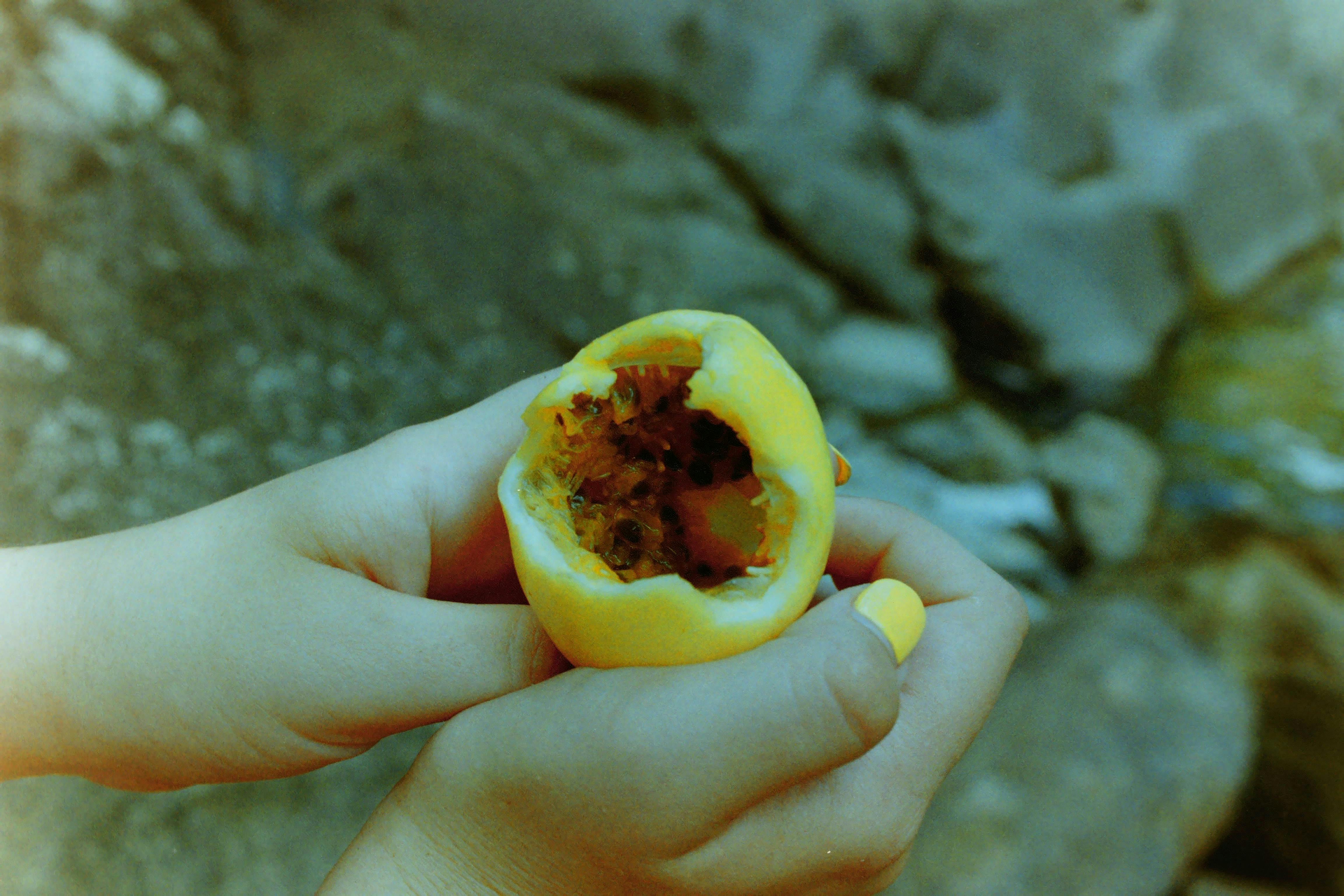 Peple Eating Photos, Download The BEST Free Peple Eating Stock Photos