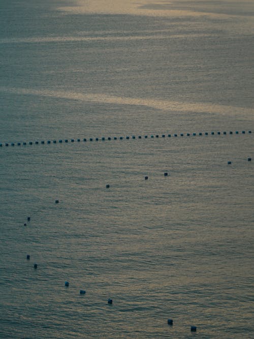 Darmowe zdjęcie z galerii z latający, morze, ocean