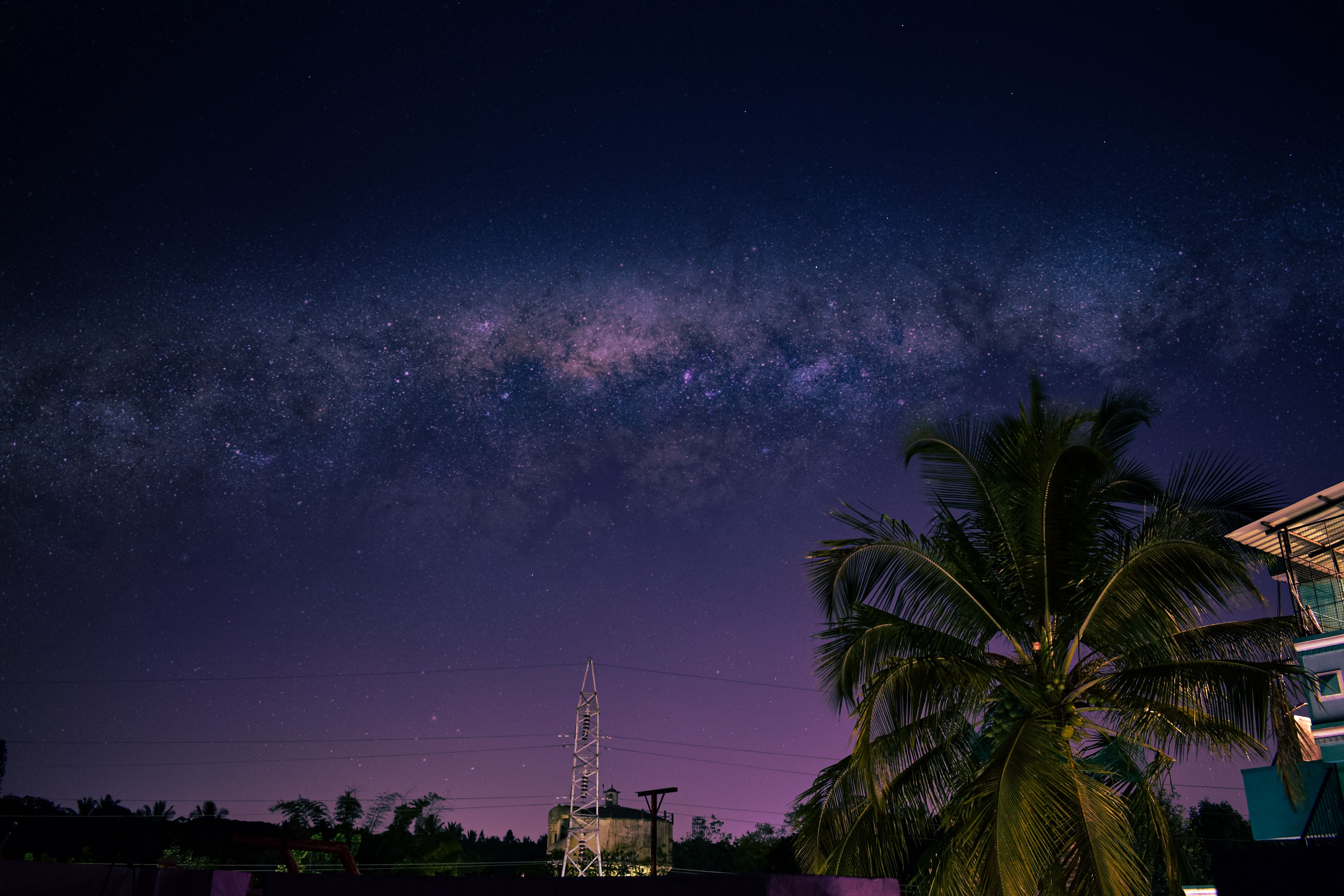 Lush coconut tree silhouetted against the Milky Way in Bengaluru's clear night sky.