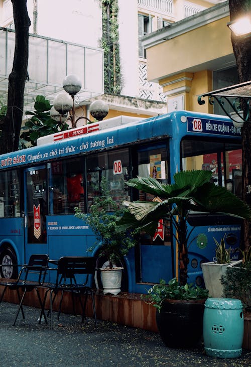 Fotobanka s bezplatnými fotkami na tému autobus, črepníkové rastliny, mestský