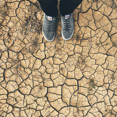 Free Gray sneakers on a cracked, dry ground surface, creating a unique pattern from above. Stock Photo