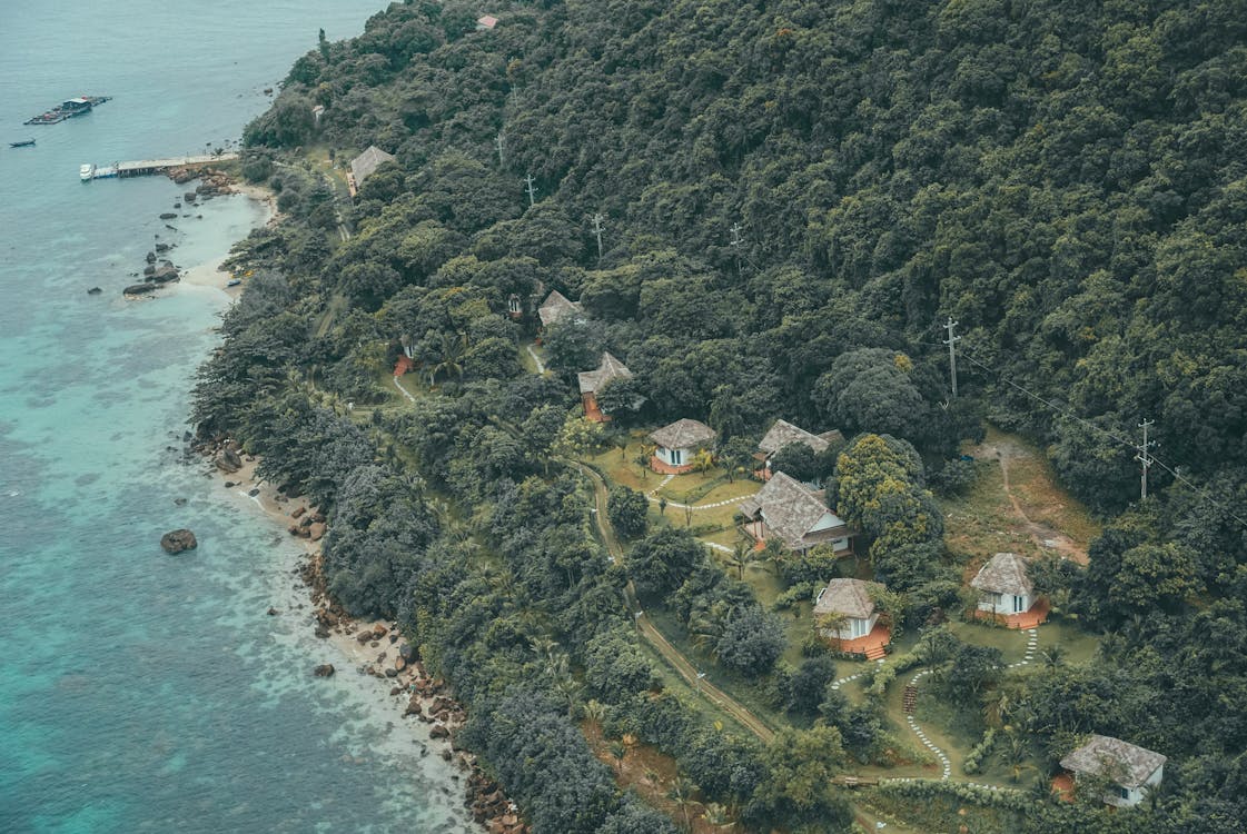 Green Trees on an Island Near a Body of Water