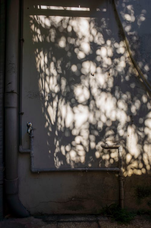 Gratis Foto stok gratis aliran, cahaya dan bayangan, dinding beton Foto Stok