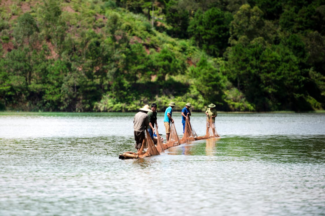 People on Brown Wooden Log on Body of Water Holding Fishing Net