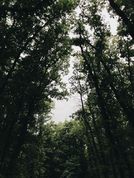 Image by hicret
