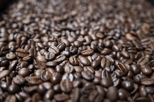Free Coffee Beans in Close-up Photography Stock Photo