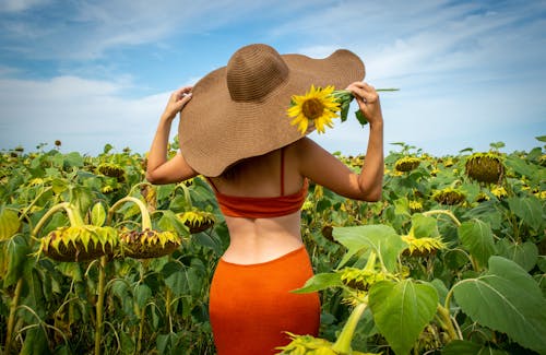 A Woman Holding a Sun Hat and Stem of Sunflower Standing in Front of ...