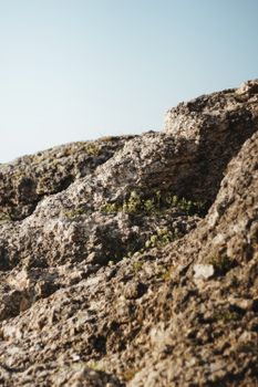 A detailed view of a textured rocky formation with visible vegetation under a clear sky.
