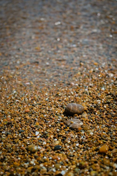 Small Stones on the Beach Shore