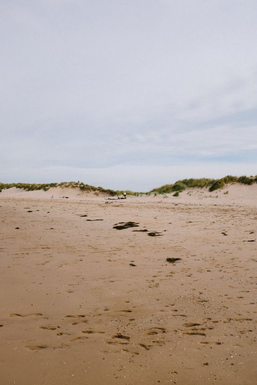 Free Tranquil beach scene showing a vast sandy shoreline under a clear blue sky. Stock Photo