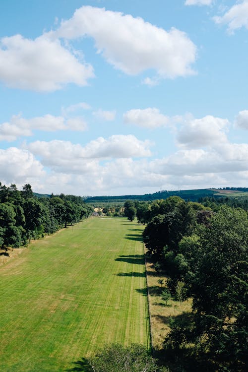 Free Birds Eye View of a Verdant Landscape Stock Photo