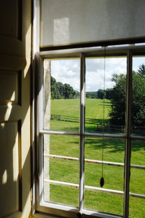 Window and Grass Field