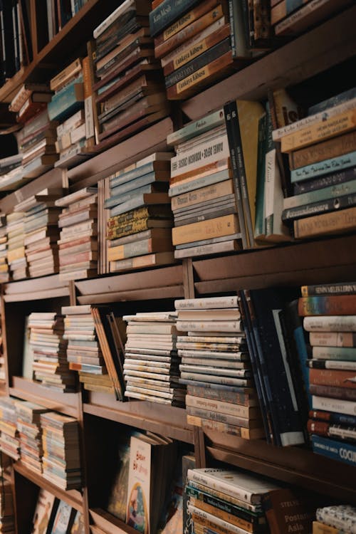 Stacks of Books on Bookcase 