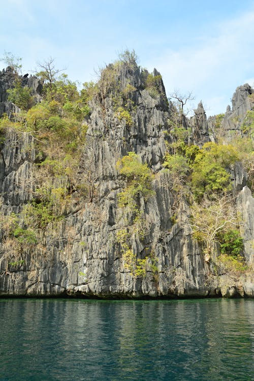 Green Trees on Gray Rock Formation Beside Body of Water