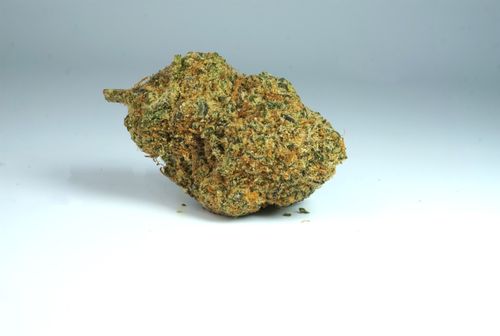 Free Peanut Breath Stock Photo