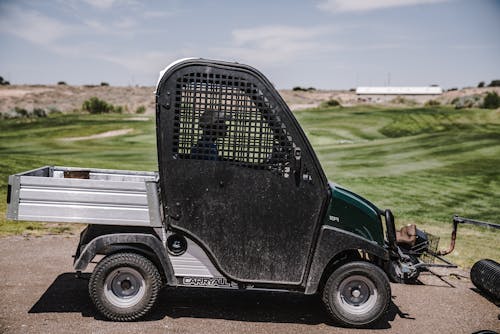 Persona Que Conduce El Carro De 2 Puertas Negro Y Verde