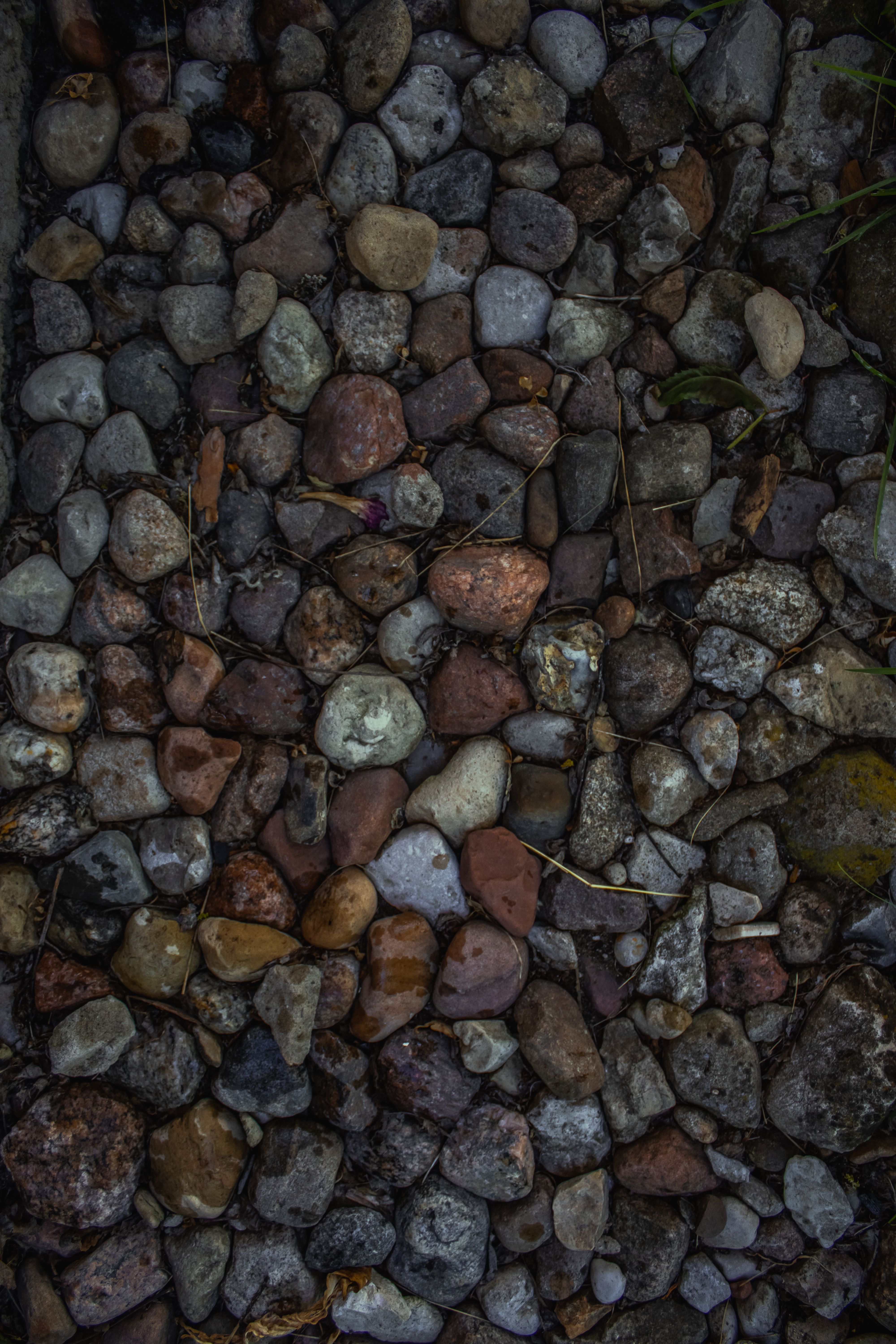Brown Rocks in Shallow Water · Free Stock Photo