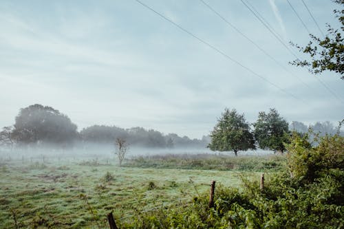 Fog over the Grass Field on a Countryside 