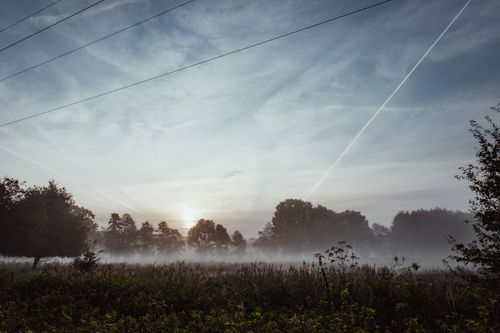 Free A tranquil scene of a sunrise with mist over a grassy field and distant trees. Stock Photo