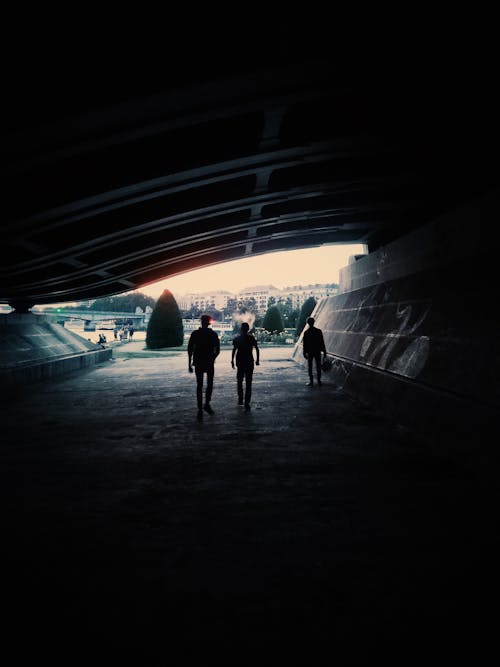 Free stock photo of adventure, black, boardwalk