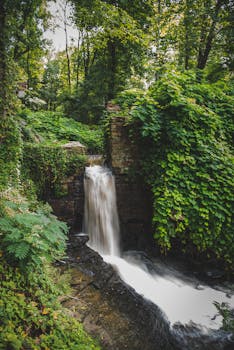 Tranquil waterfall nestled in a lush forest setting; perfect for nature lovers.