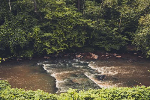 Breaking Flow of the River Water