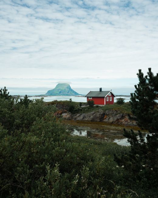 Idyllic red cabin on Lovund island with lush foliage and scenic mountain views.