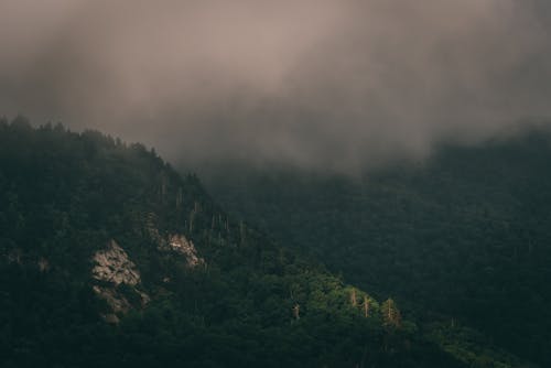 Aerial View of Gray Clouds over a Mountainside